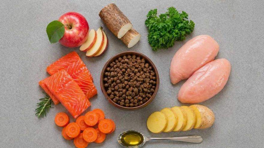 ¿Con tanta variedad y tendencias ya no sabes qué darle de comer a tu mascota?
