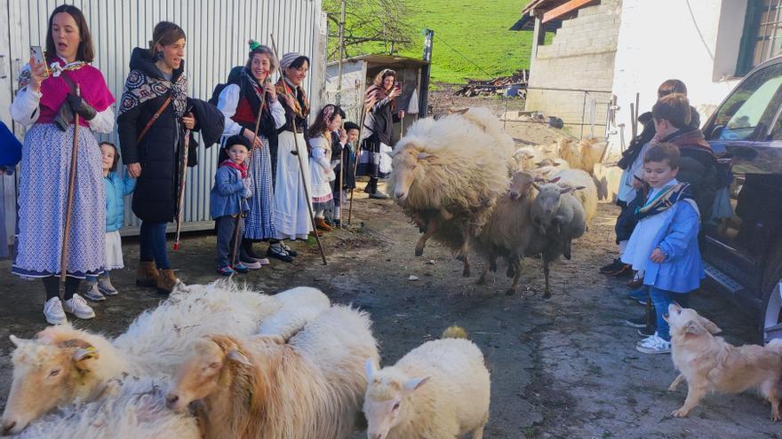 Bi irteera antolatu ditu Elgoibarko Izarra elkarteak otsailerako, Santa Ageda egunaren bueltan