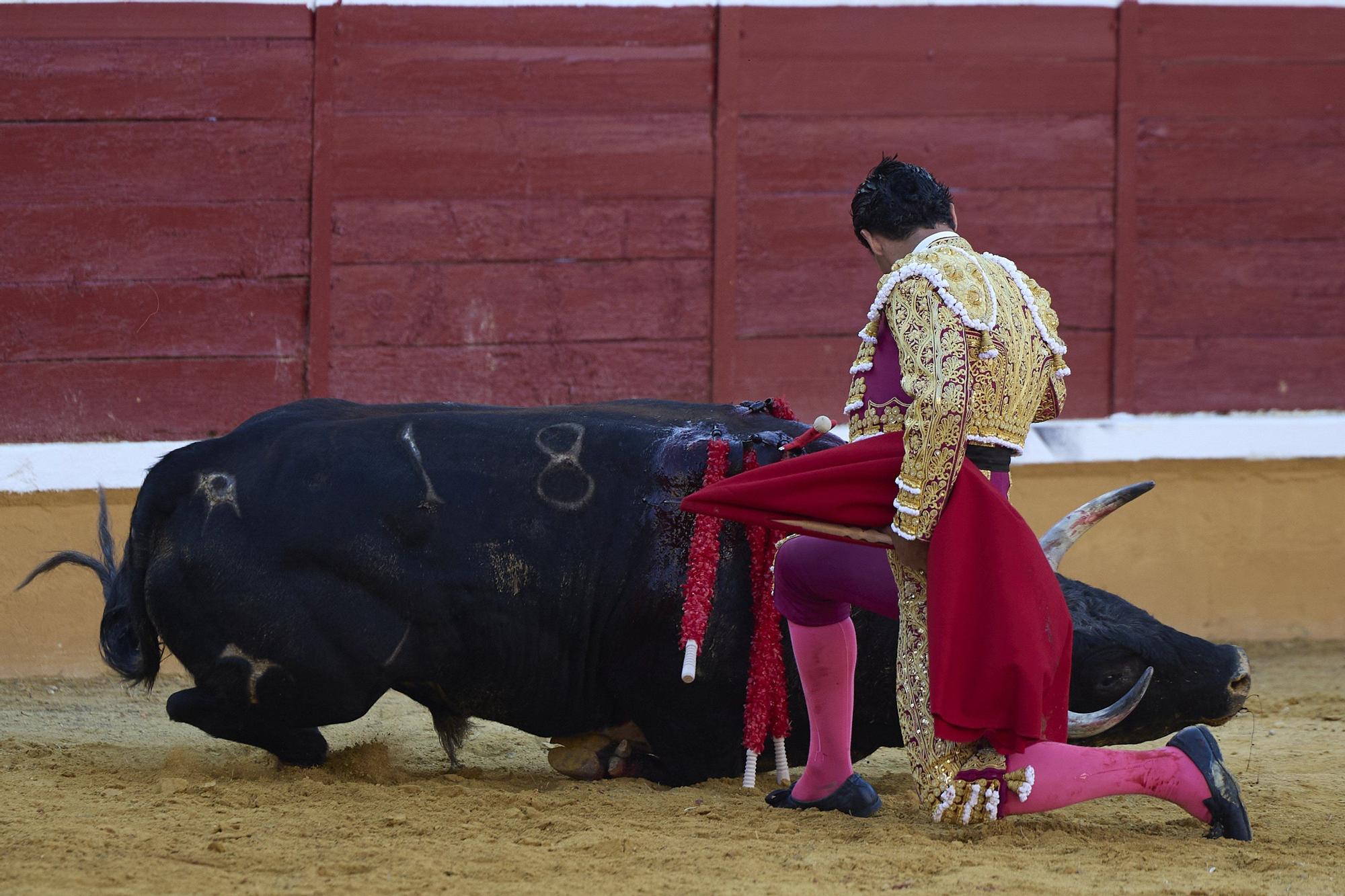 Fotos de la corrida de toros en Tudela con toros de Garzón Valdenebro