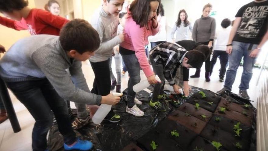 Alumnos de Zubi Zaharra Ikastola,                               de Balmaseda, riegan las plantas que ellos mismos colocaron en los tepes. Fotos: Juan Lazkano