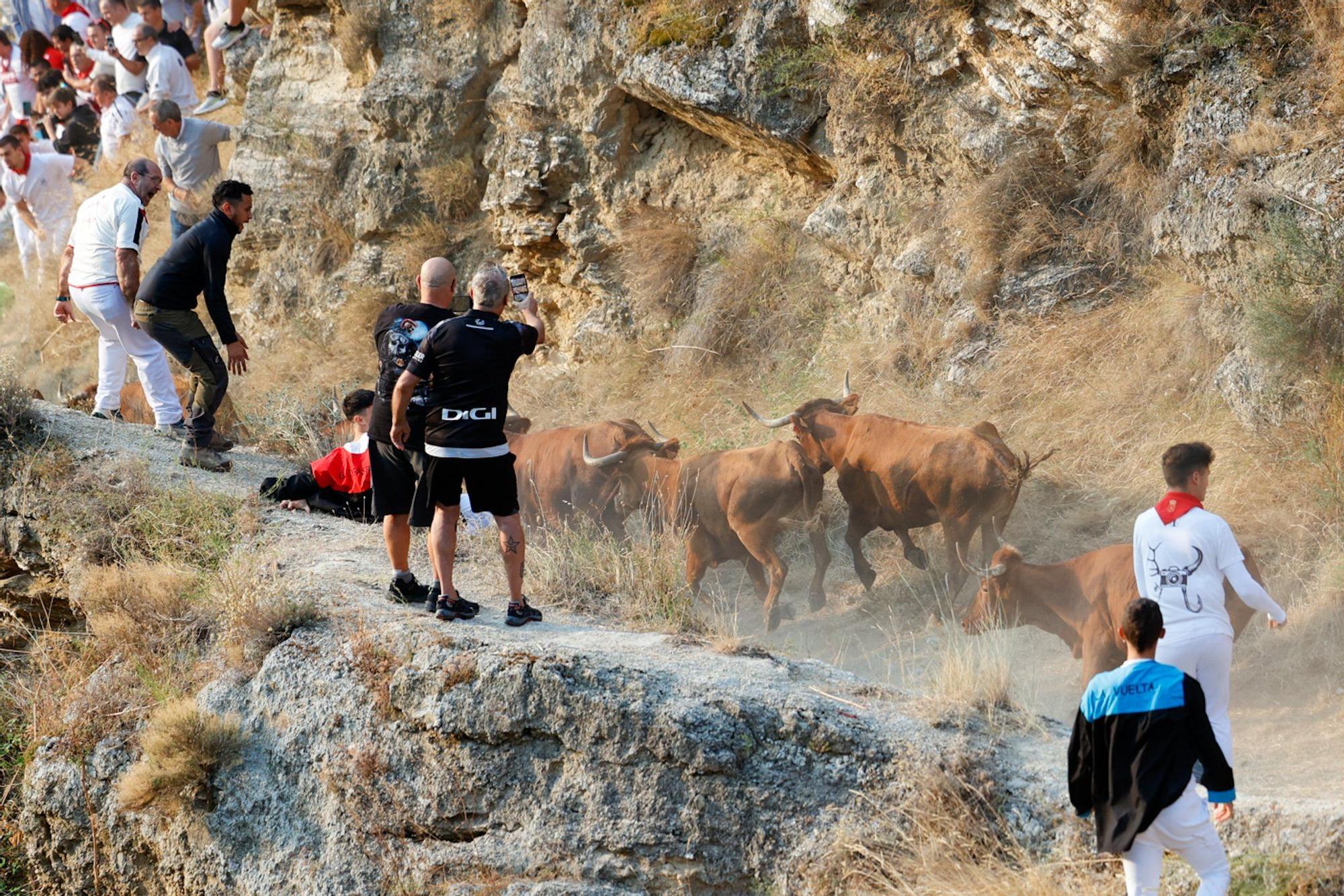 Fotos del cuarto encierro del Pilón de Falces 2025