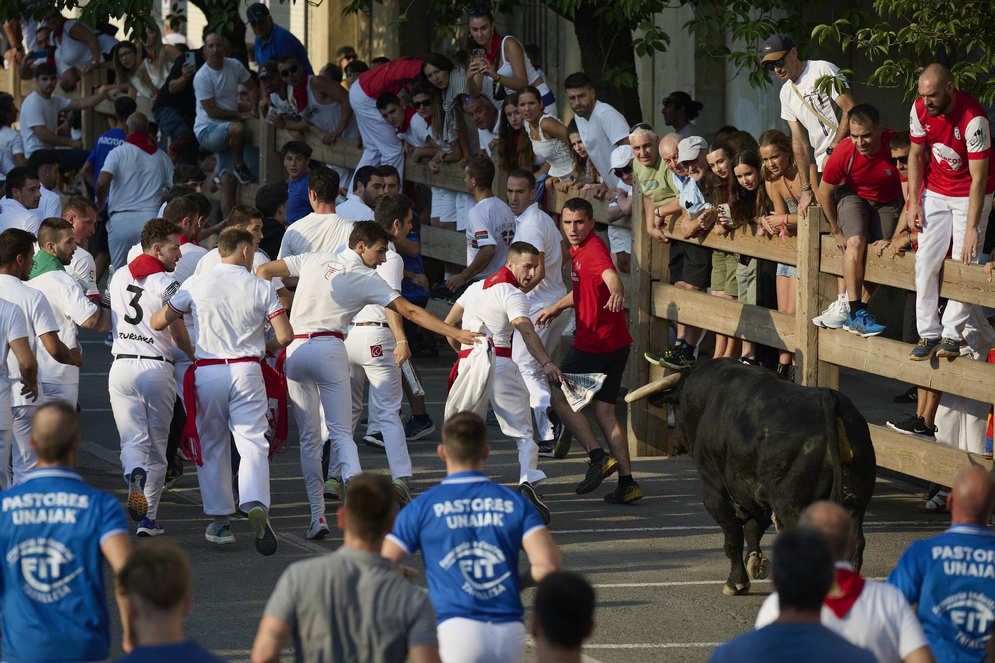Fotos del primer encierro de fiestas de Tafalla