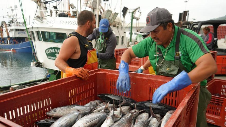 El DNI del mar: trazabilidad y transparencia en la pesca de bajura vasca