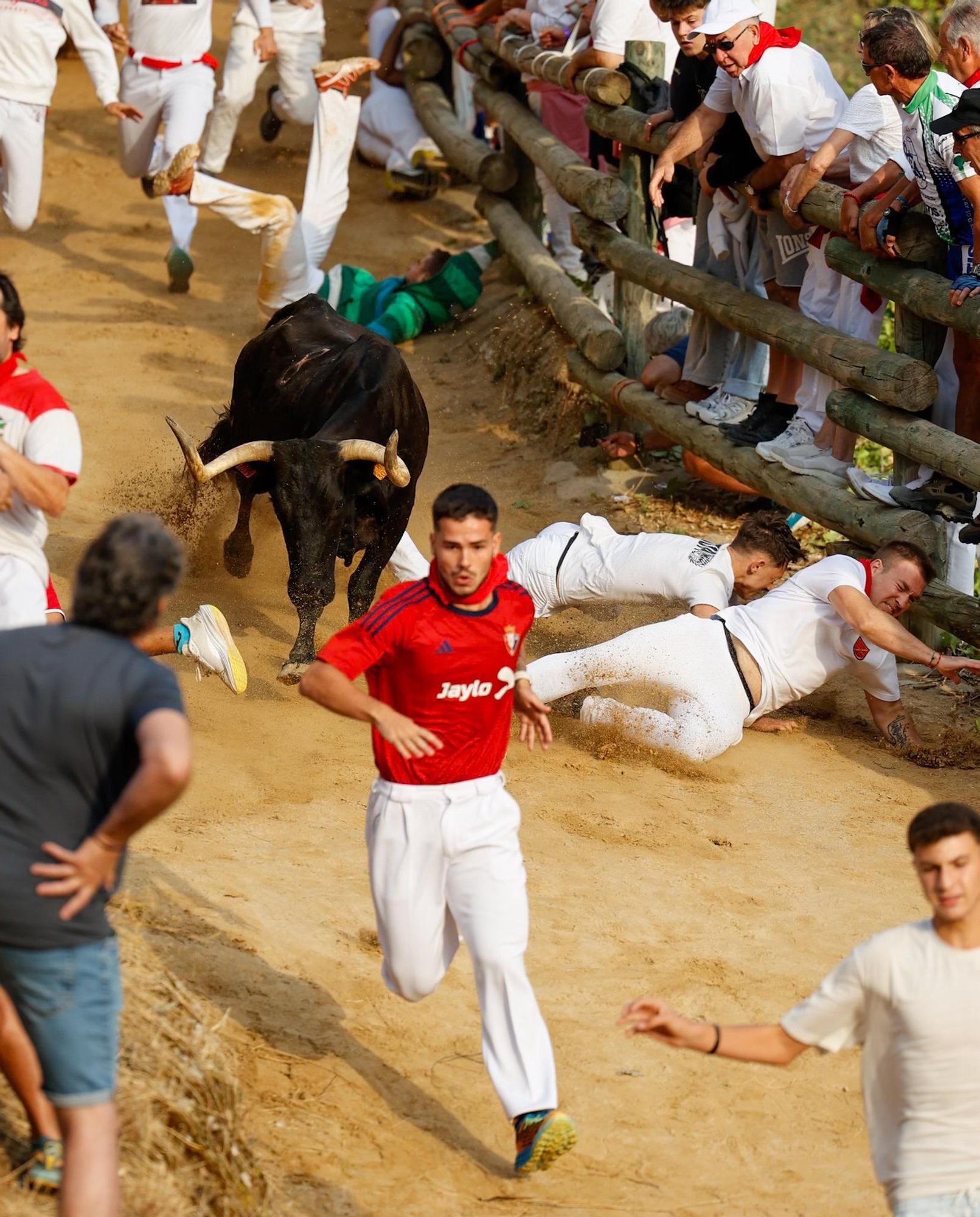 Fotos del segundo encierro del Pilón de Falces 2025