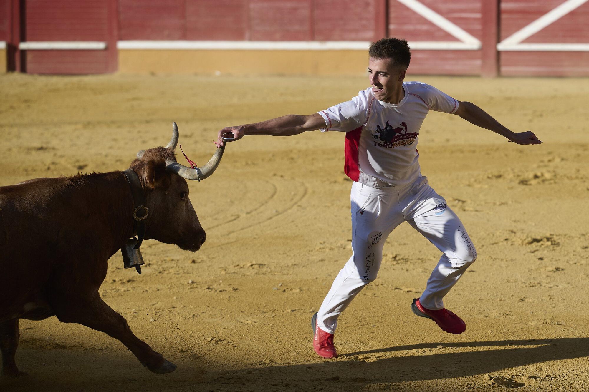 Concurso de recortadores con anillas