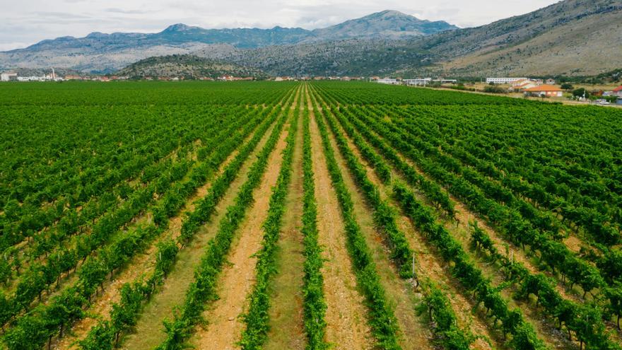 Los agricultores navarros recibieron 108,5 millones en pagos directos de octubre a junio