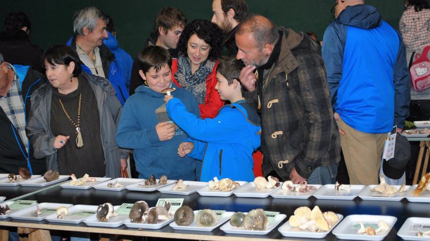 Amurrio, todo listo para las XXII jornadas de micoturismo