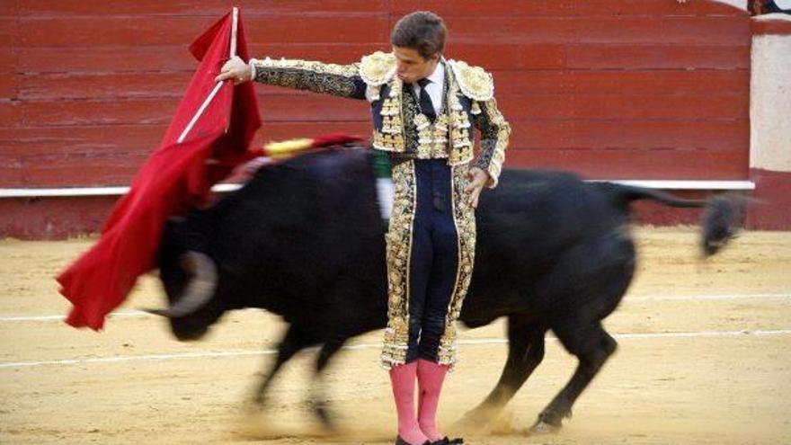 Los toros &#039;embisten&#039; seis años después en TVE