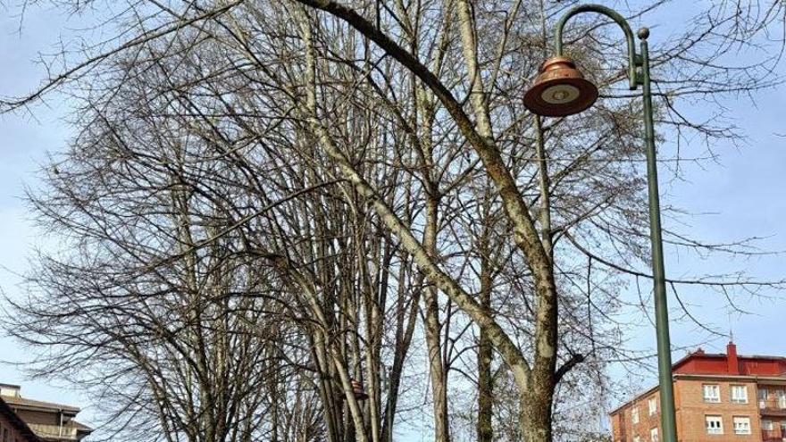 Lezok klima eta energia plana aurkeztuko du azaroaren 11n