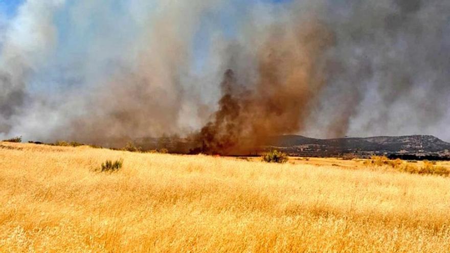 Suspendida la circulación del AVE entre Madrid y Andalucía por un incendio en Ciudad Real