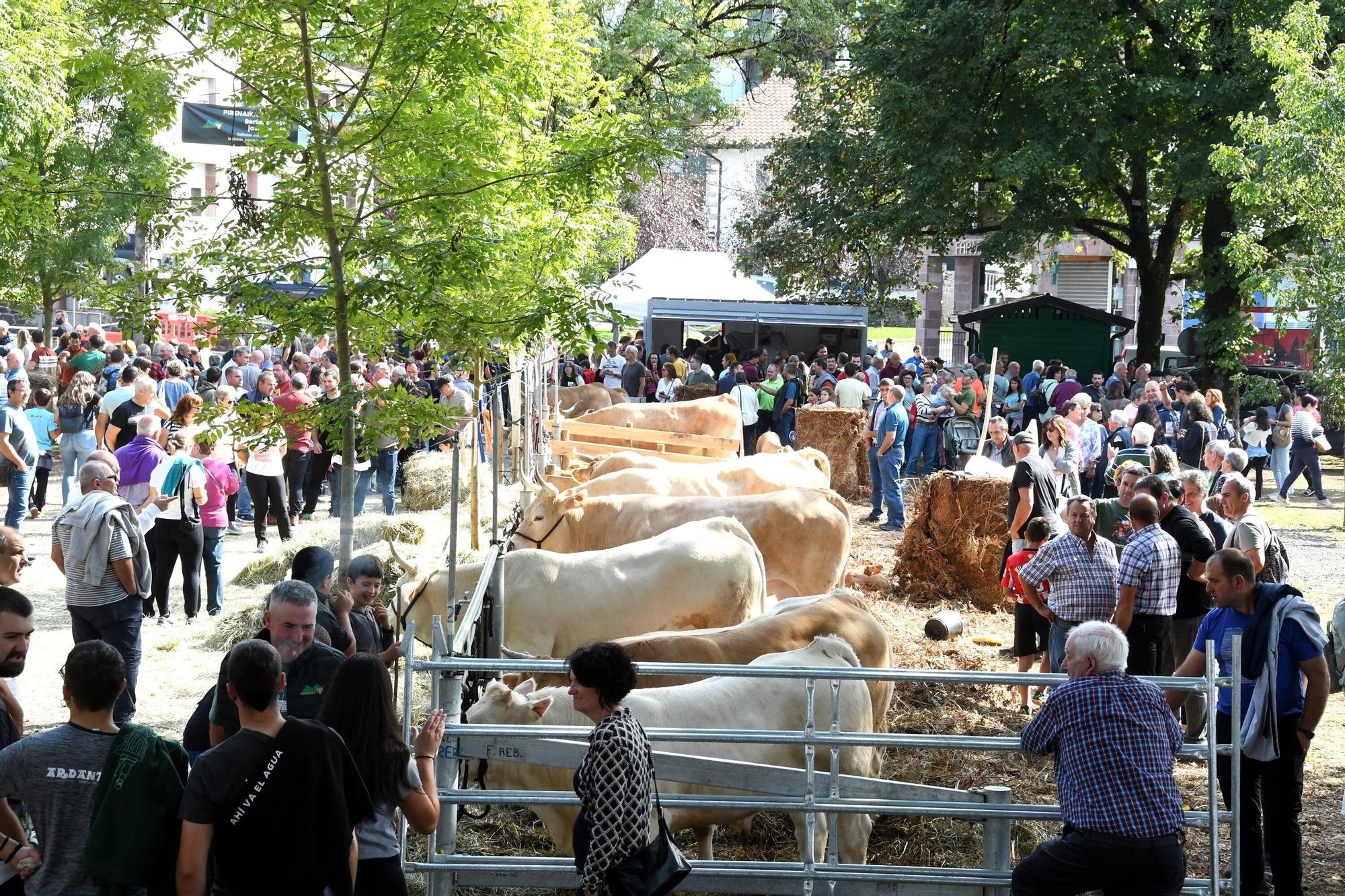 feria elizondo-ondikol.JPG