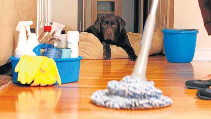 Hogar, ¿dulce hogar?