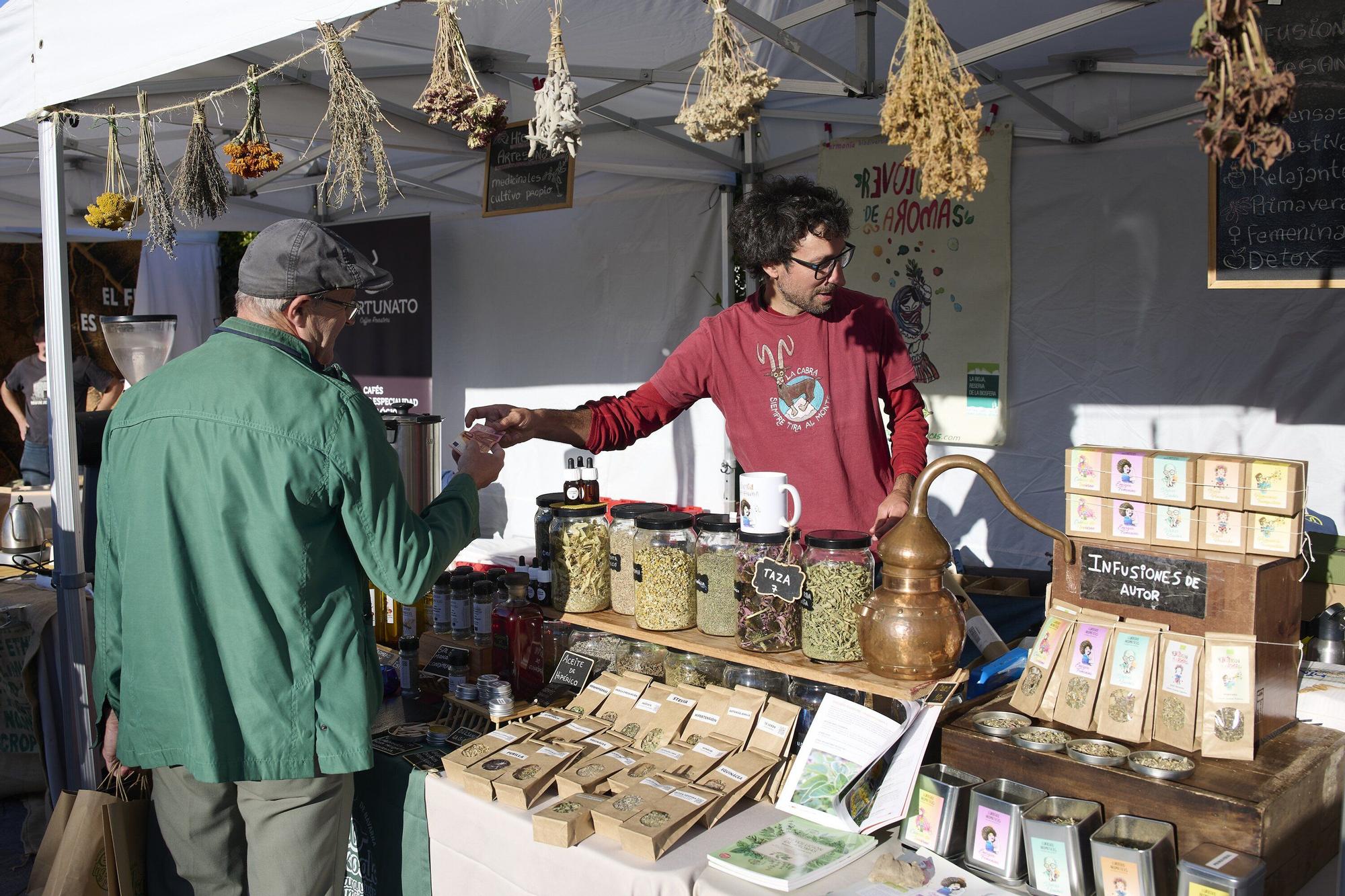 feria ecologia noain-porto.JPG