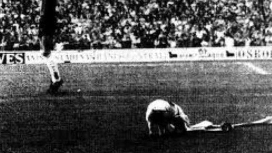 19 diciembre 1982: un cochinillo con el número 7