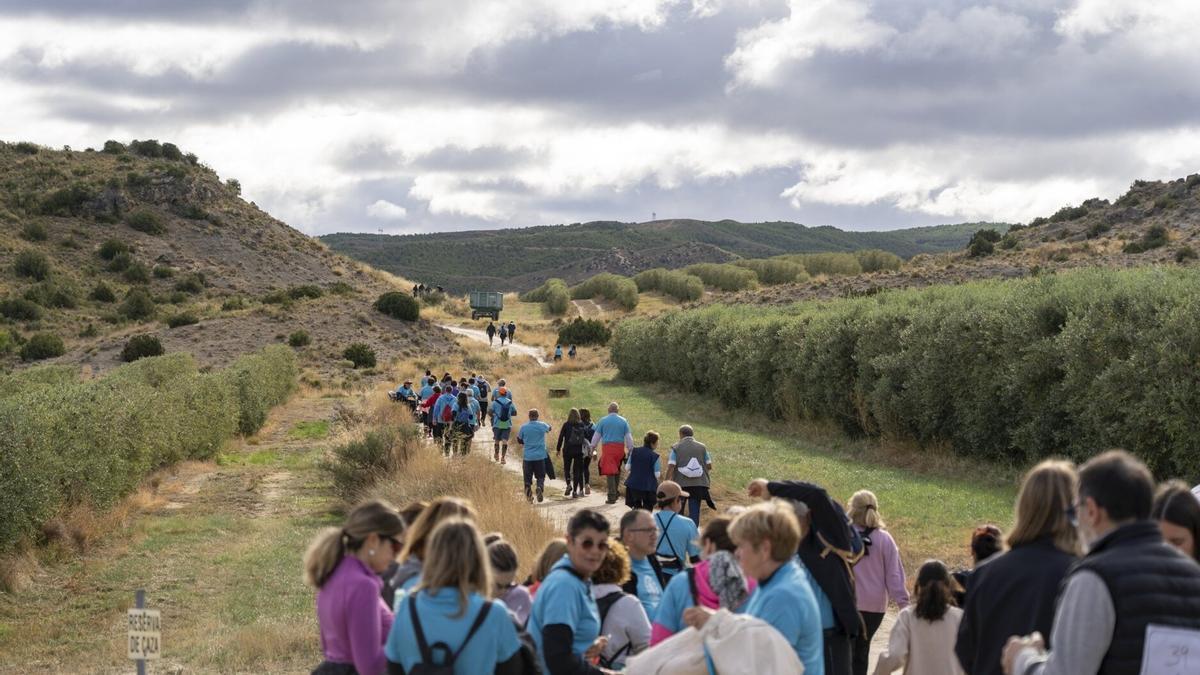 Un momento de la marcha contra el cáncer en el circuito de Las Roscas.