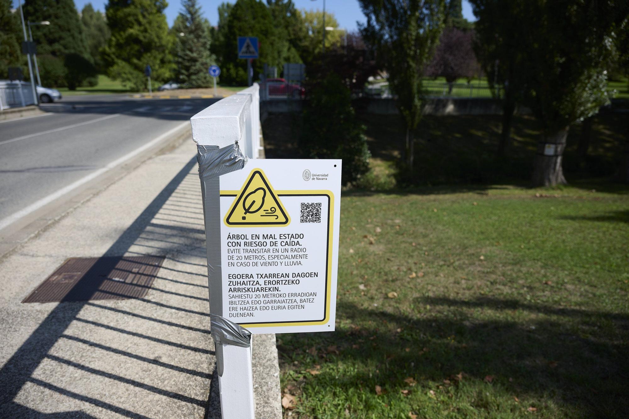 Tala de árboles en la Universidad de Navarra
