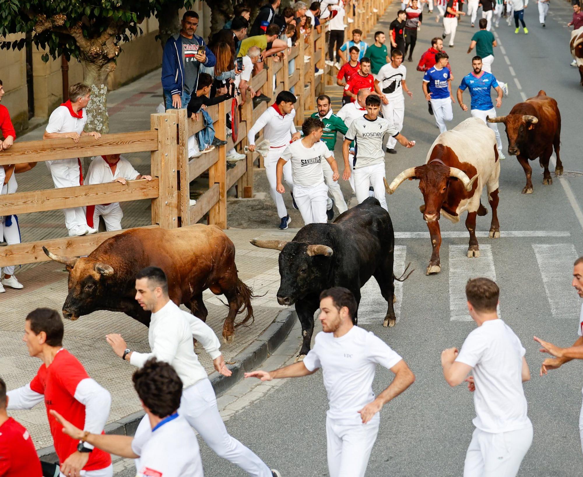 Fotos del quinto encierro de las fiestas de Tafalla 2025