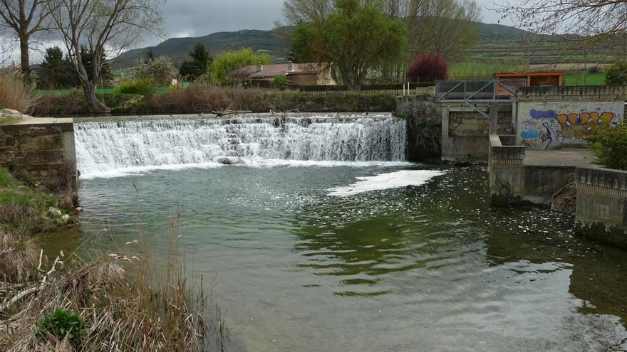 Prohíben el contacto con el agua del río Ayuda tras un vertido contaminante en Bernedo