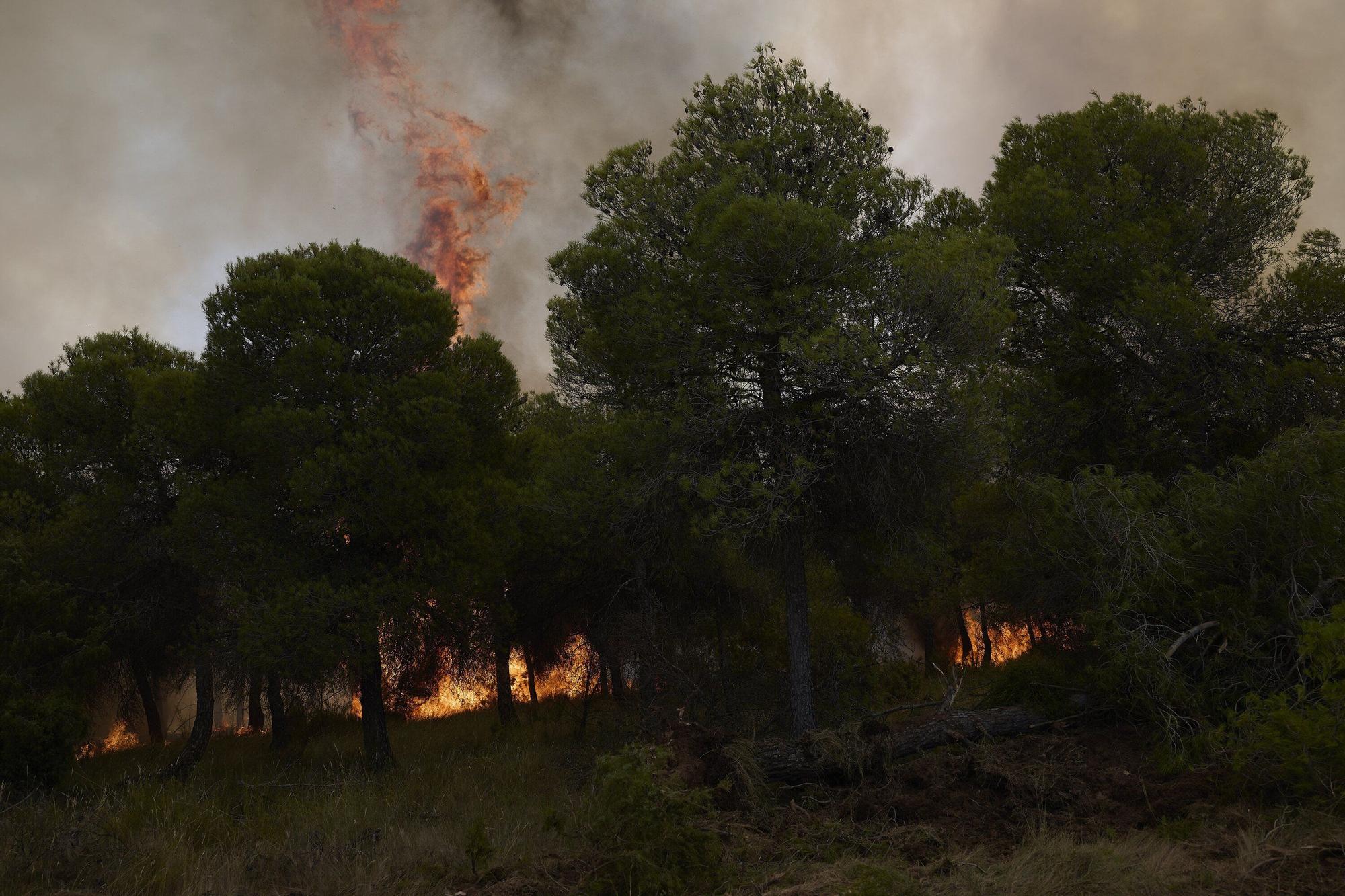 Fotos del incendio forestal cerca de Carcastillo