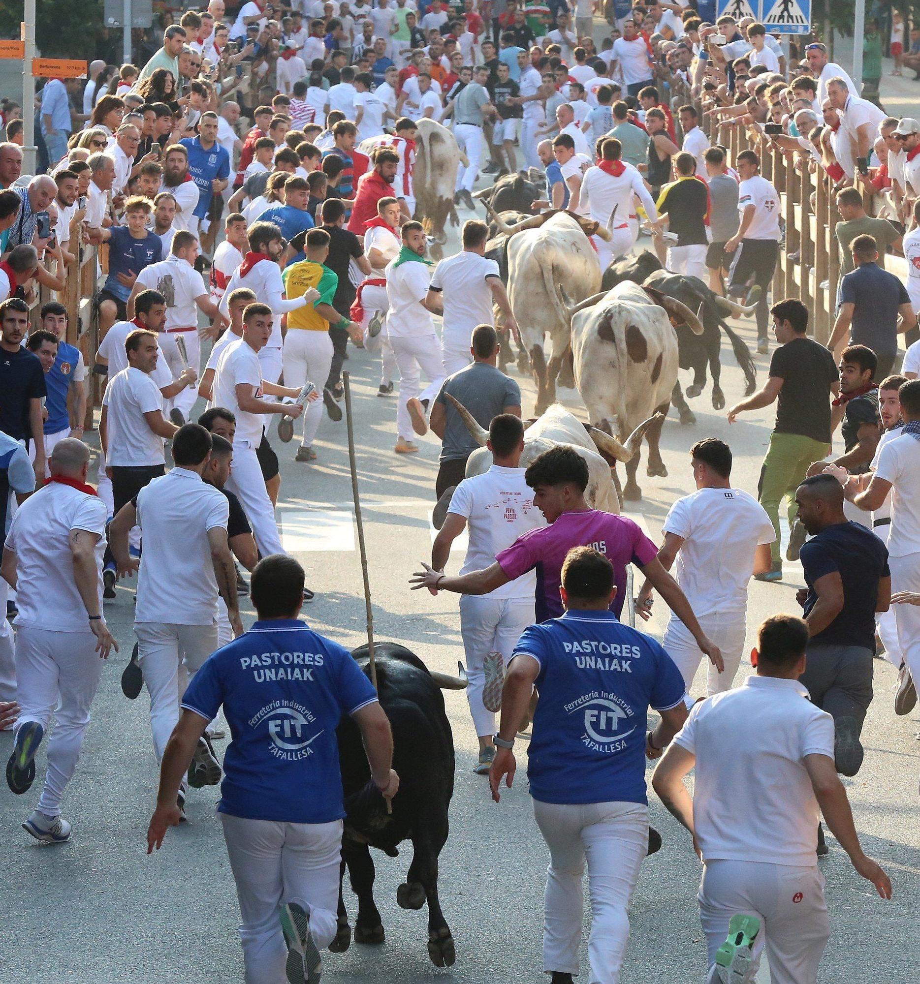 Fotos del primer encierro de fiestas de Tafalla