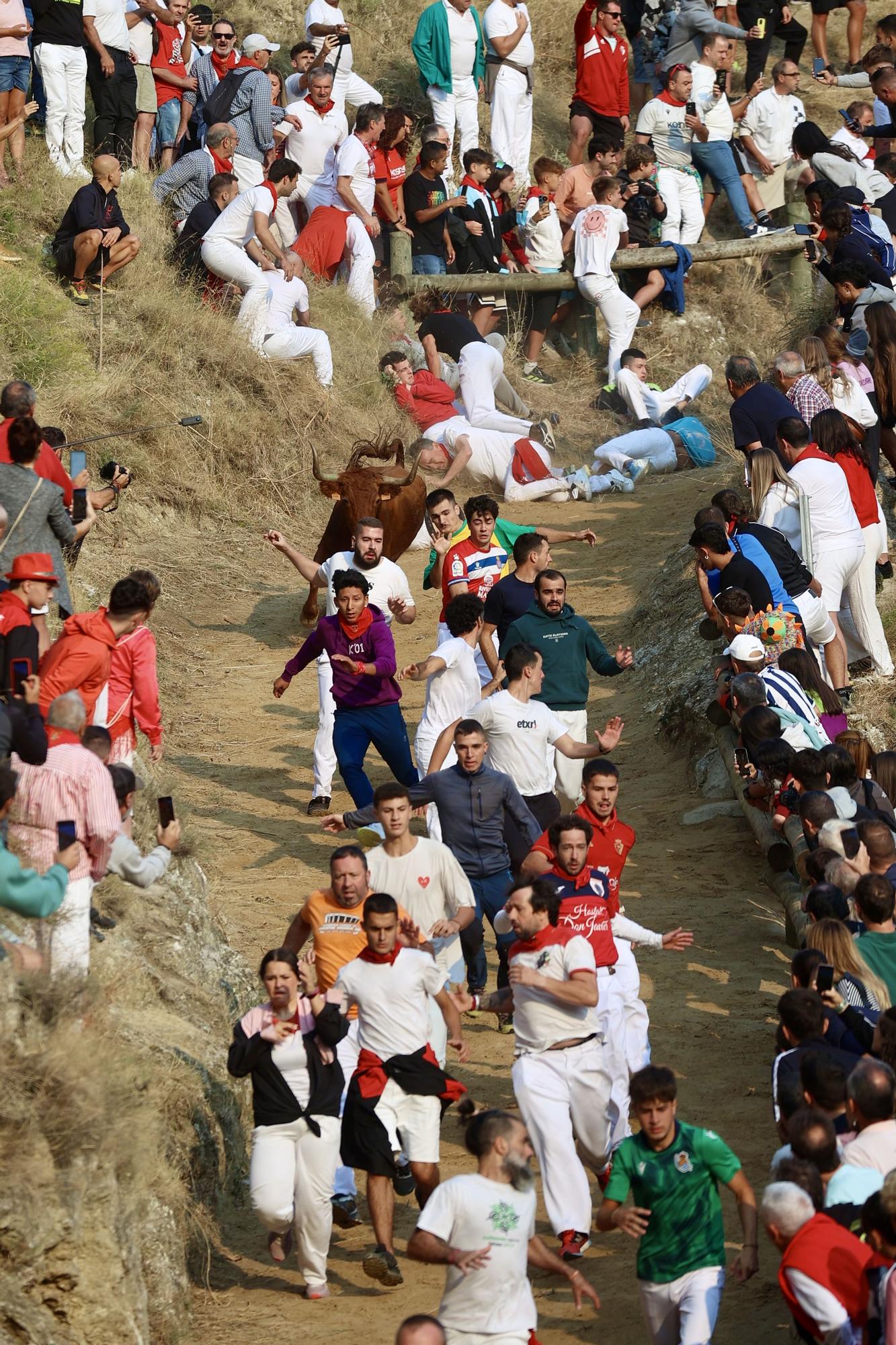 Fotos del cuarto encierro del Pilón de Falces 2025