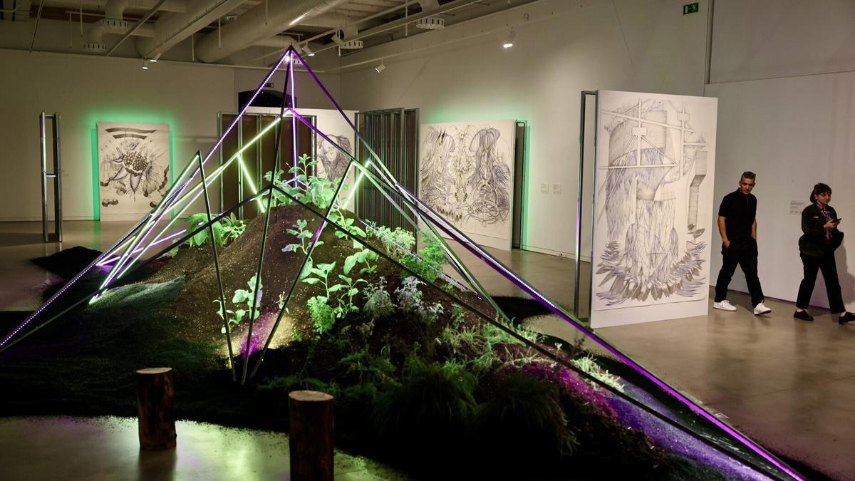 En la exposición &#039;Sasi guztien gainetik&#039; se combinan los dibujos de Marlene McCarty con obras realizadas con plantas