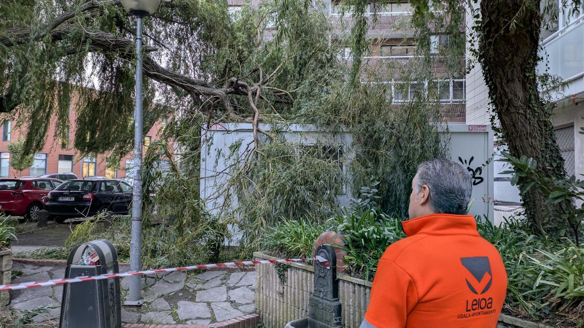 La borrasca Benjamín provoca incidencias en Bizkaia