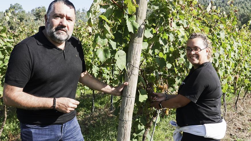 En imágenes: Las bodegas de Bizkaia afrontan una vendimia abierta a la esperanza