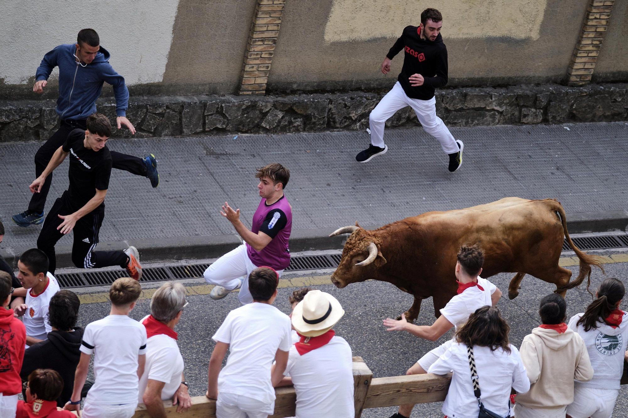 Tercer encierro de Estella