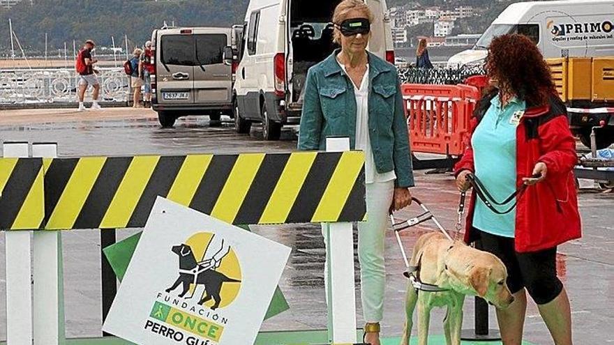 Exhibición de perros guía en Alderdi Eder