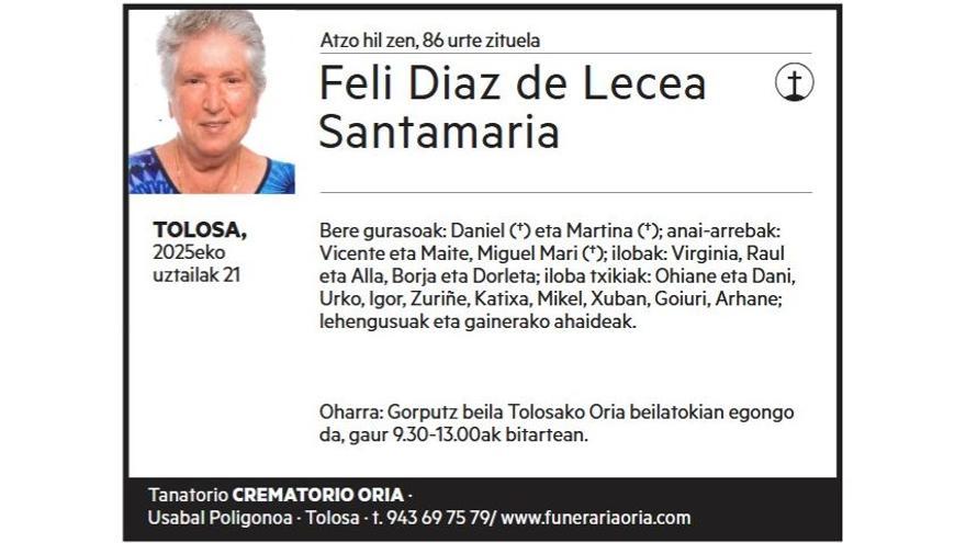 FELI DIAZ DE LECEA SANTAMARIA