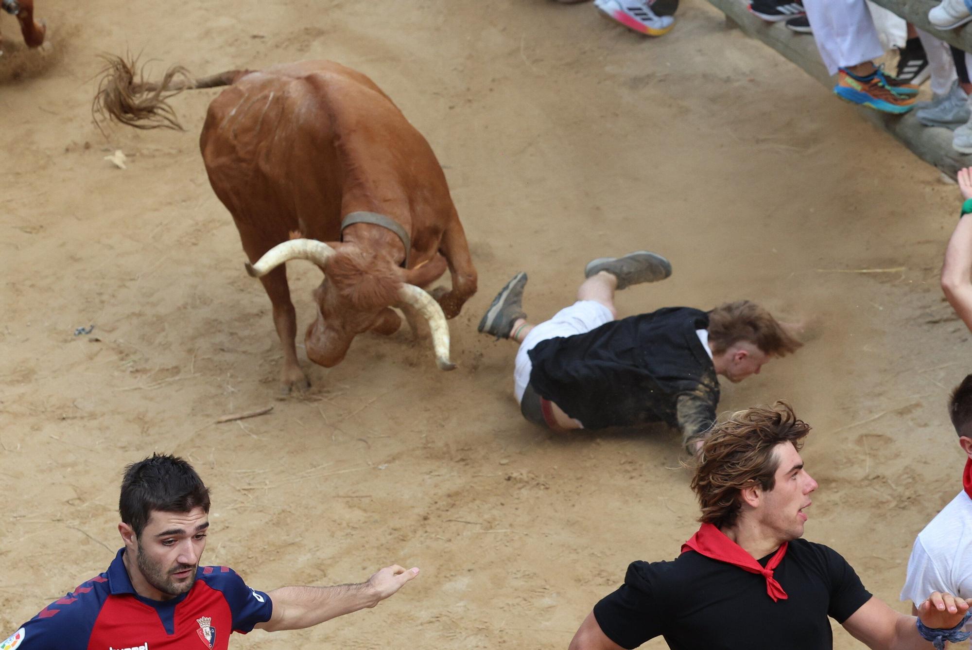 Fotos del quinto encierro del Pilón de Falces 2025 con vacas de Eulogio Mateo