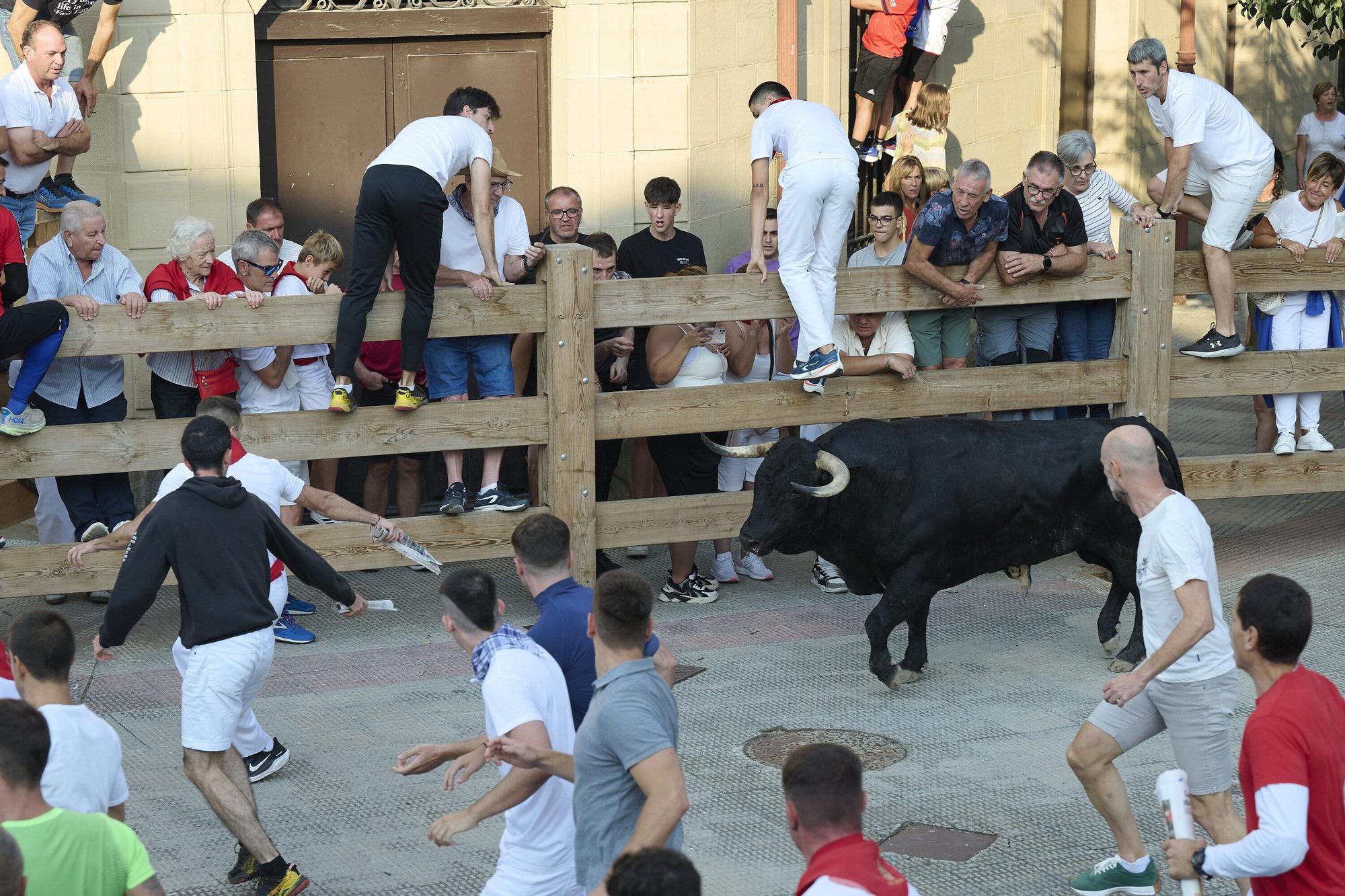 Fotos del primer encierro de fiestas de Tafalla