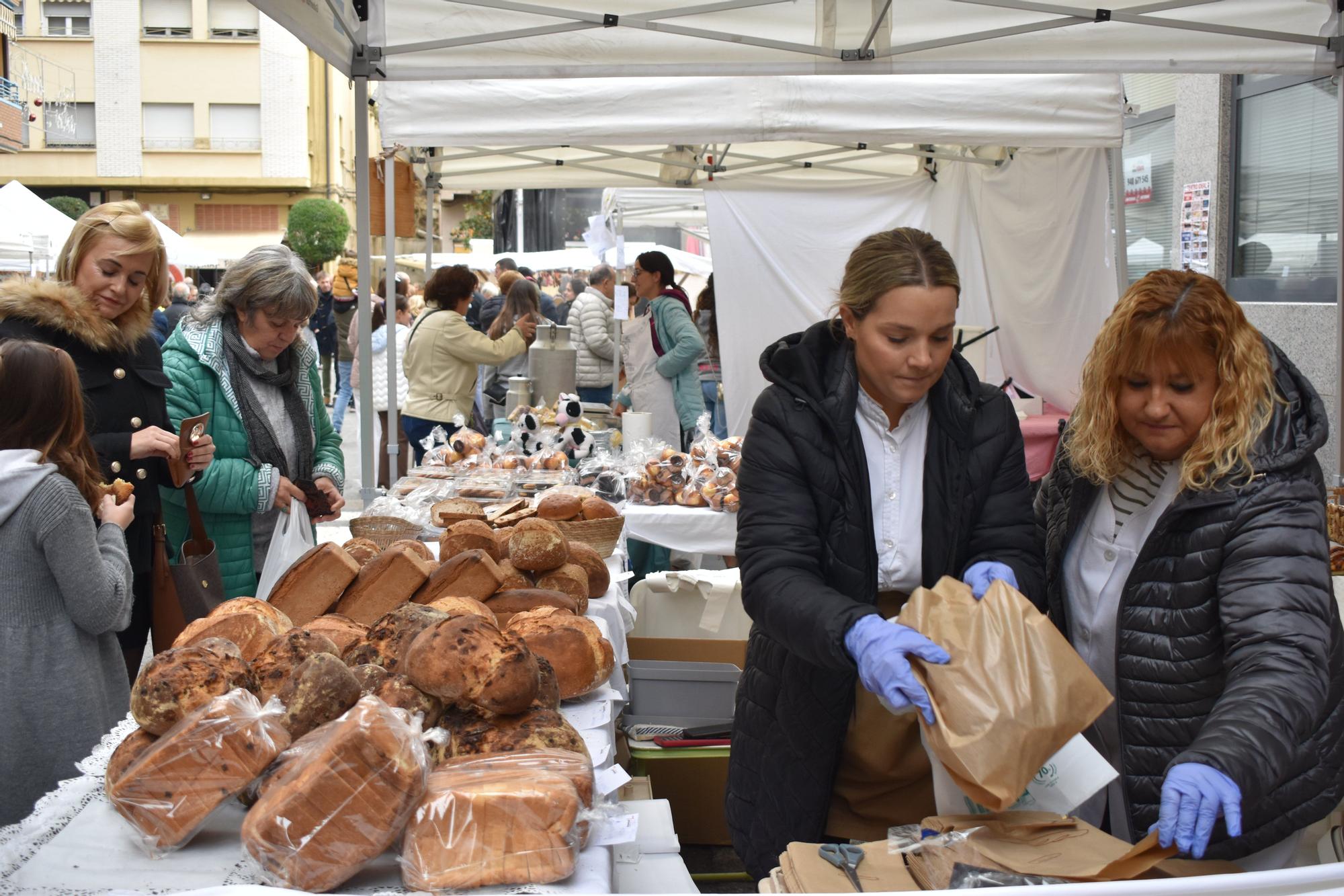 Fotos de las fiestas de San Gregorio 2025 en Azagra