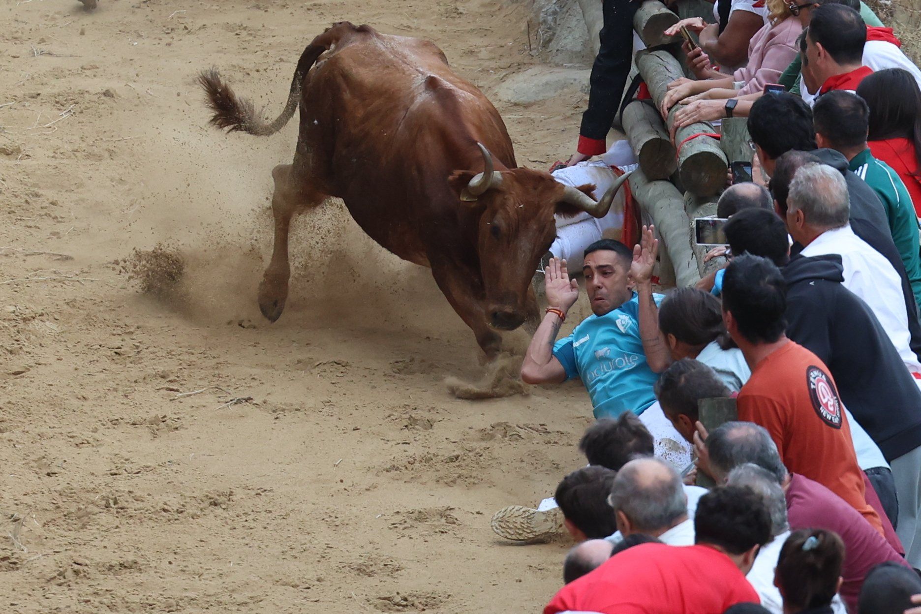 Fotos del tercer encierro del Pilón de Falces 2025