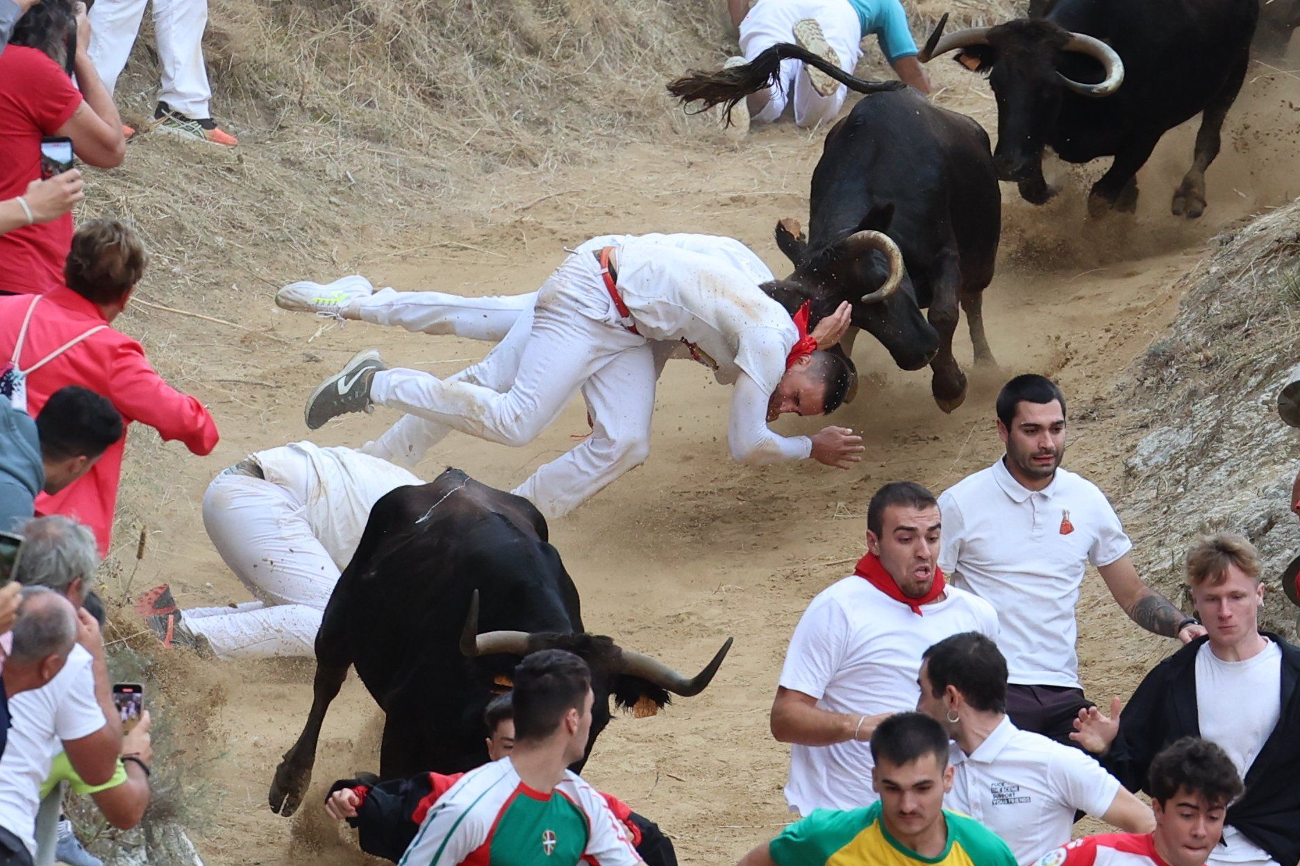 Fotos del tercer encierro del Pilón de Falces 2025