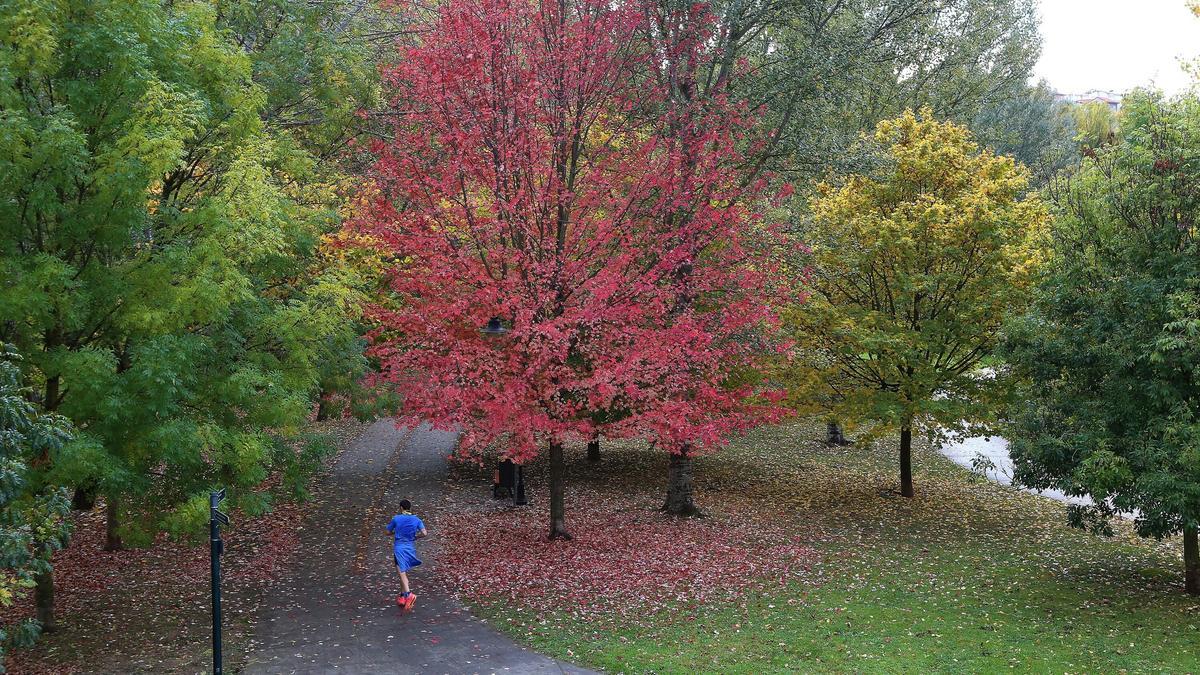 Tiempo otoñal para el fin de semana en Navarra.
