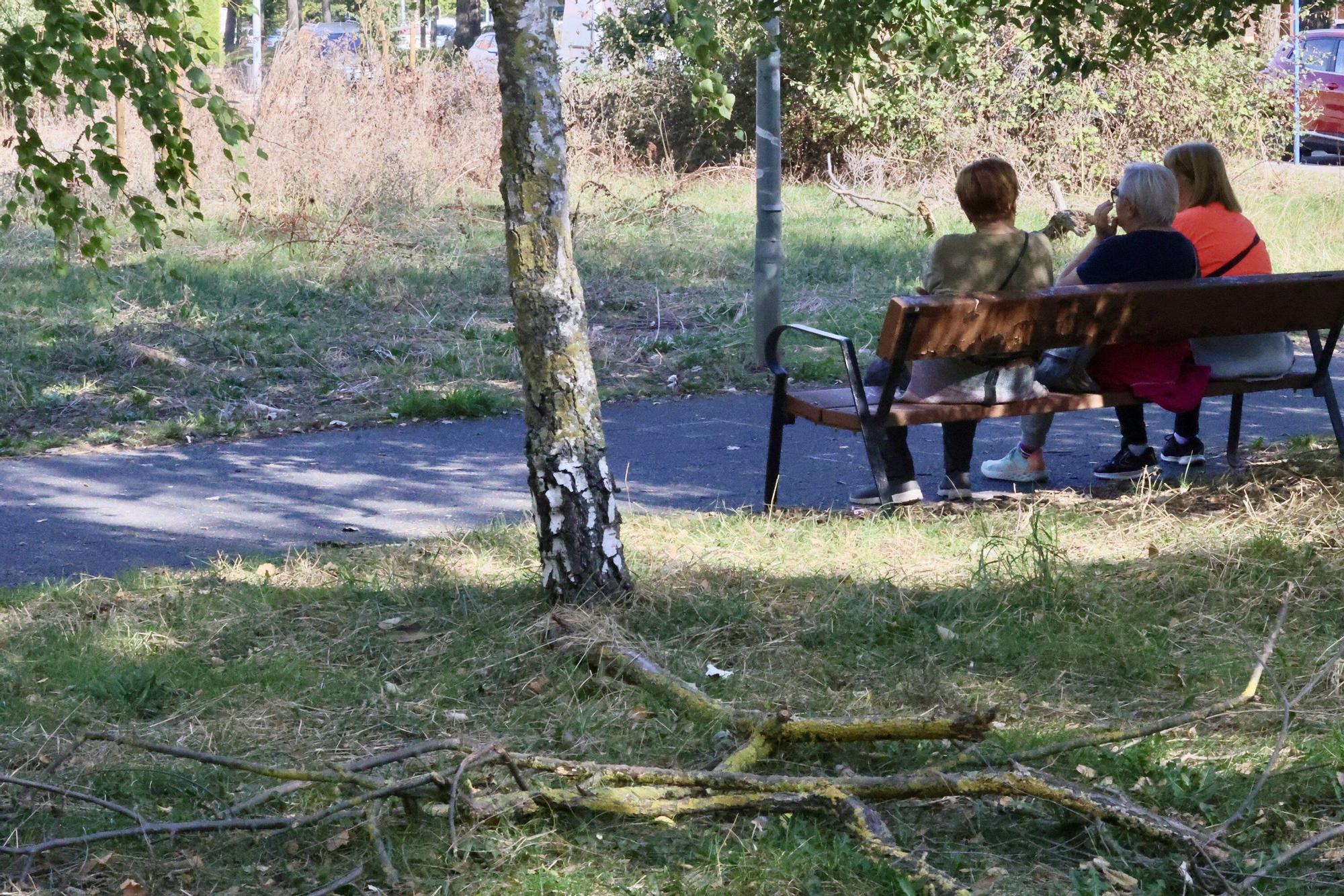 En imágenes: Vitoria-Gasteiz se prepara para adecentar el verde de la ciudad