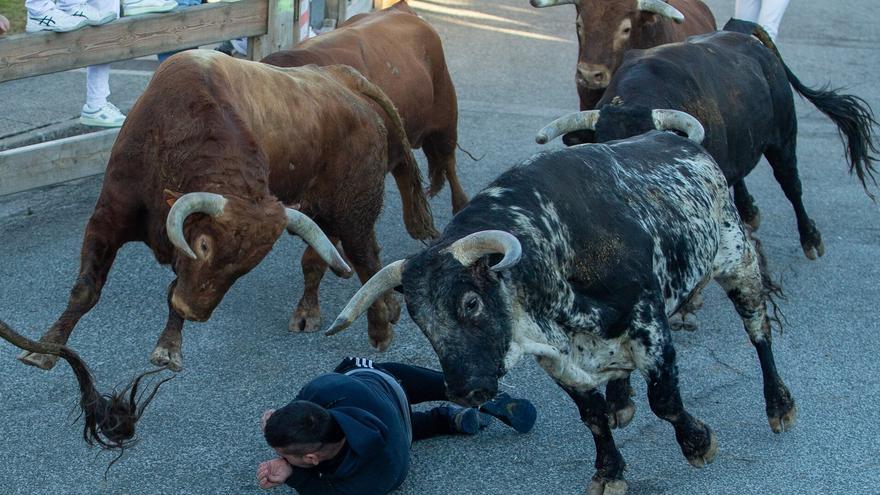 El Ayuntamiento de Sangüesa recurre a la adjudicación directa de la feria taurina