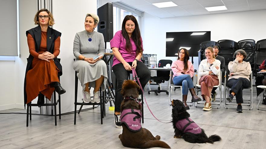 Bizkaia ha acompañado en 25 años a más de 600 menores abusados