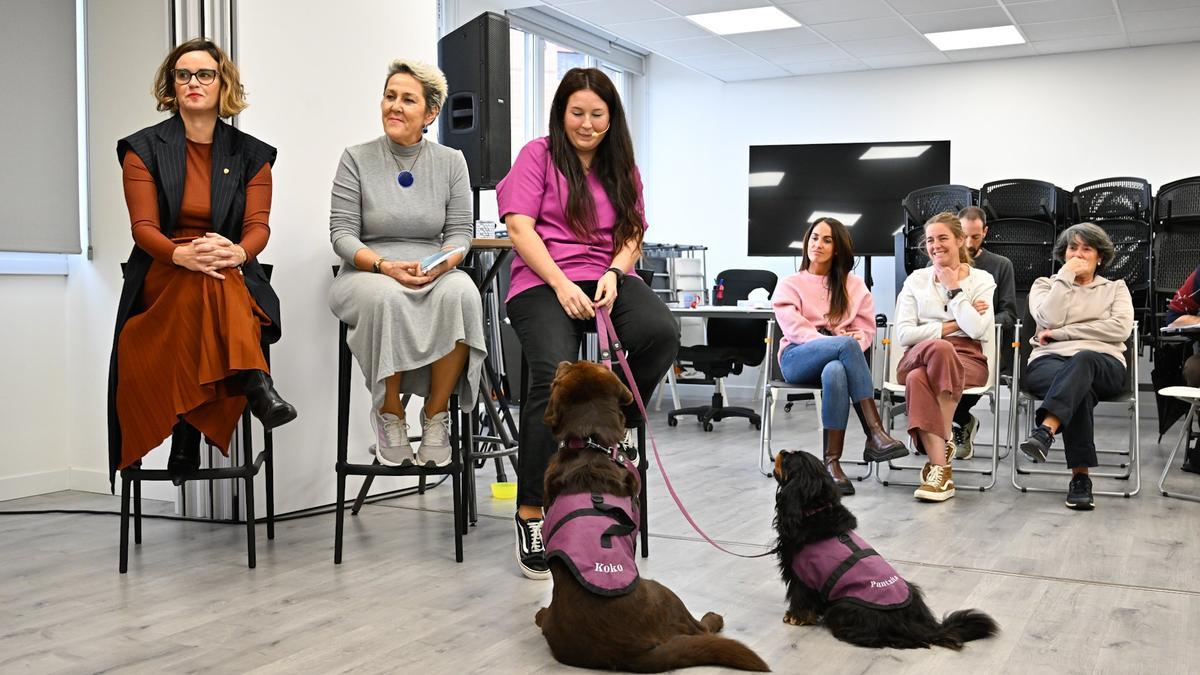 Elixabete Etxanobe, diputada general de Bizkaia, Rosa Lizarraga, terapeuta de Agintzari, y Nekane Ibarretxe contemplando a &#039;Koko&#039; y &#039;Pantxita&#039; repasaron la actividad del servicio foral especializado de valoración e intervención psicológica en situaciones de abuso sexual infantil.la sede de la Fundación Agintzari.
