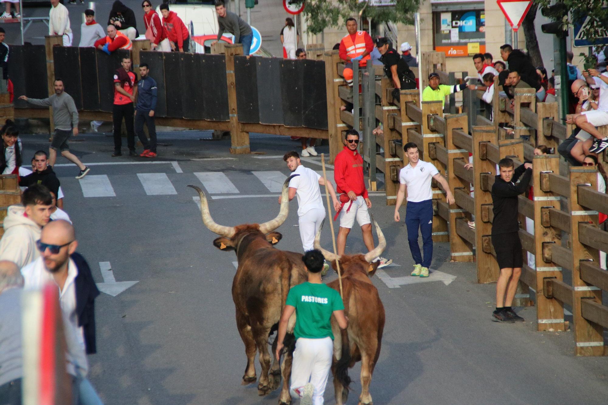 Fotos del primer encierro de las fiestas de Tudela 2025