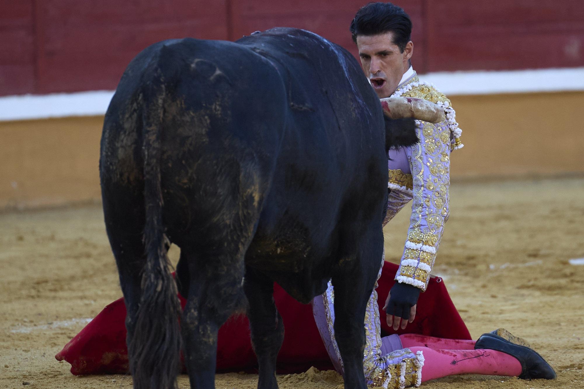 Fotos de la corrida de toros en Tudela con toros de Garzón Valdenebro