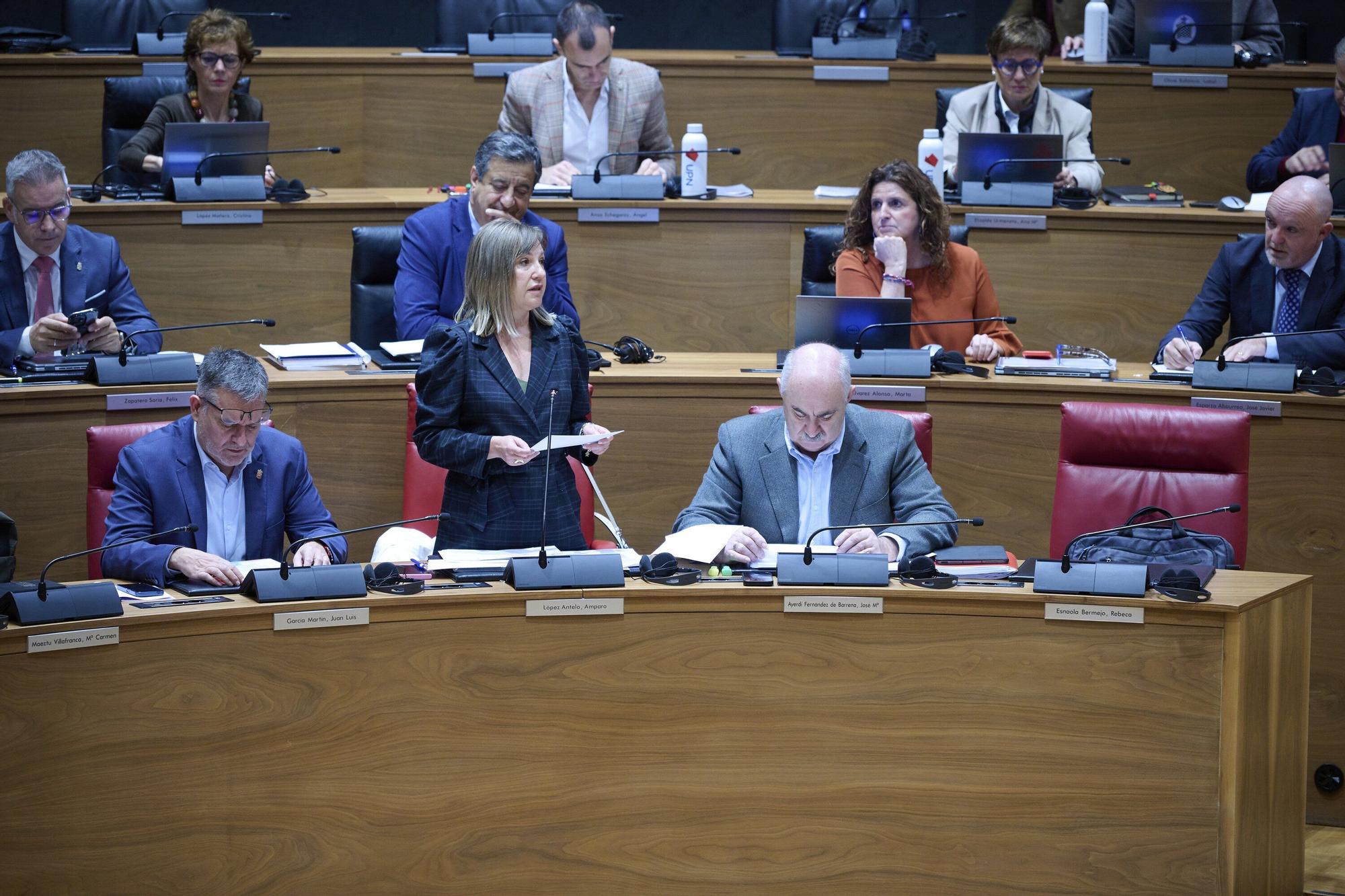 Fotos del pleno del Parlamento de Navarra de este 6 de noviembre