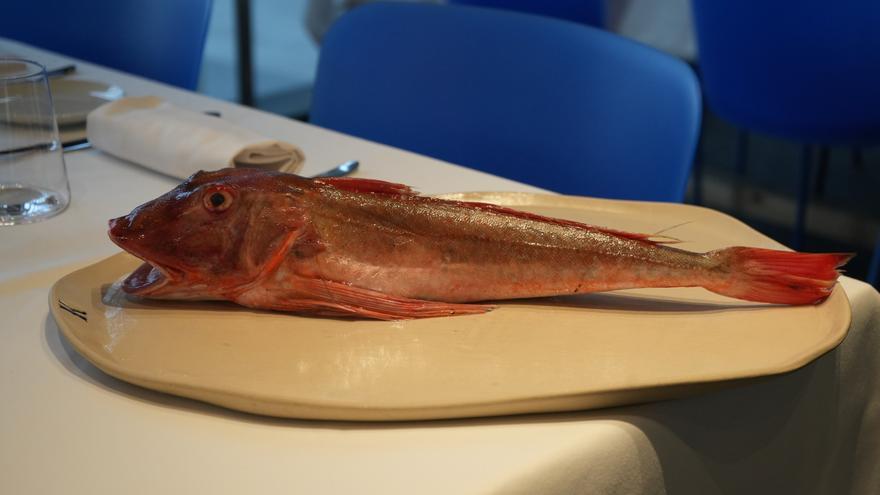 El mar en Navidad: pescados que sorprenden en tu mesa