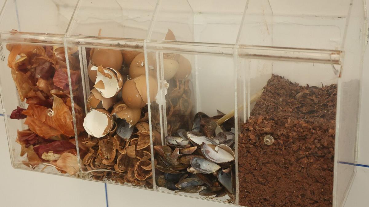 Algunos de los residuos con los que trabaja Organic Studio