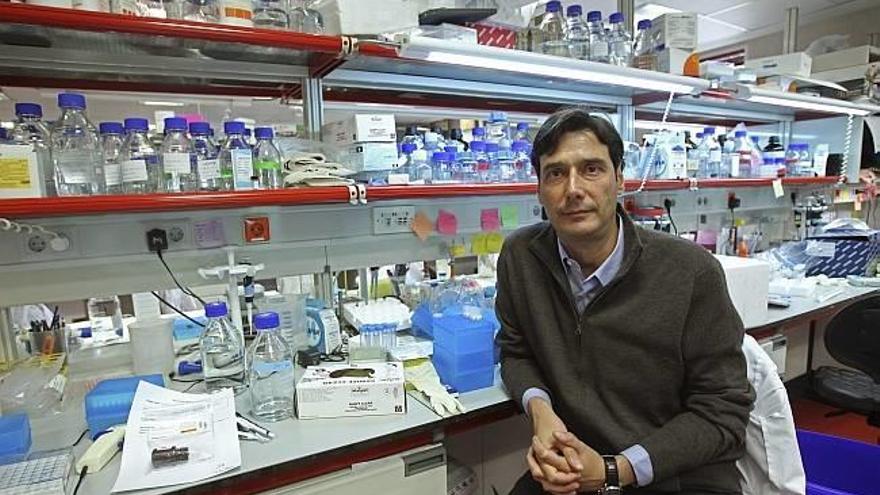 Investigadores del CNIO descubren un gen anticáncer que combate también la obesidad