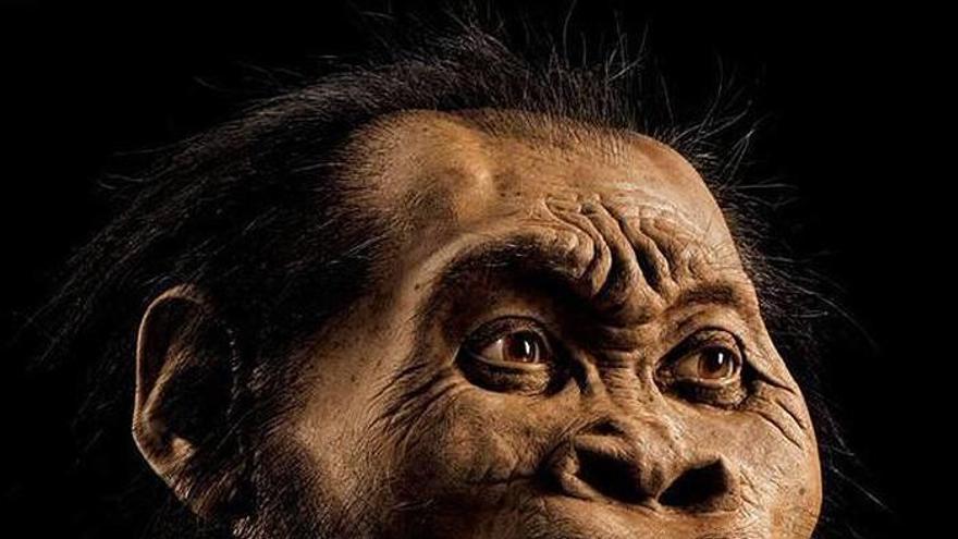 Imagen del &#039;Homo naledi&#039;.
