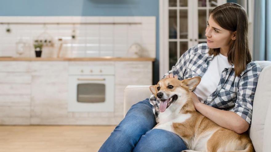 ¿Hay que despedirse de nuestro perro antes de salir de casa? Esta es la respuesta