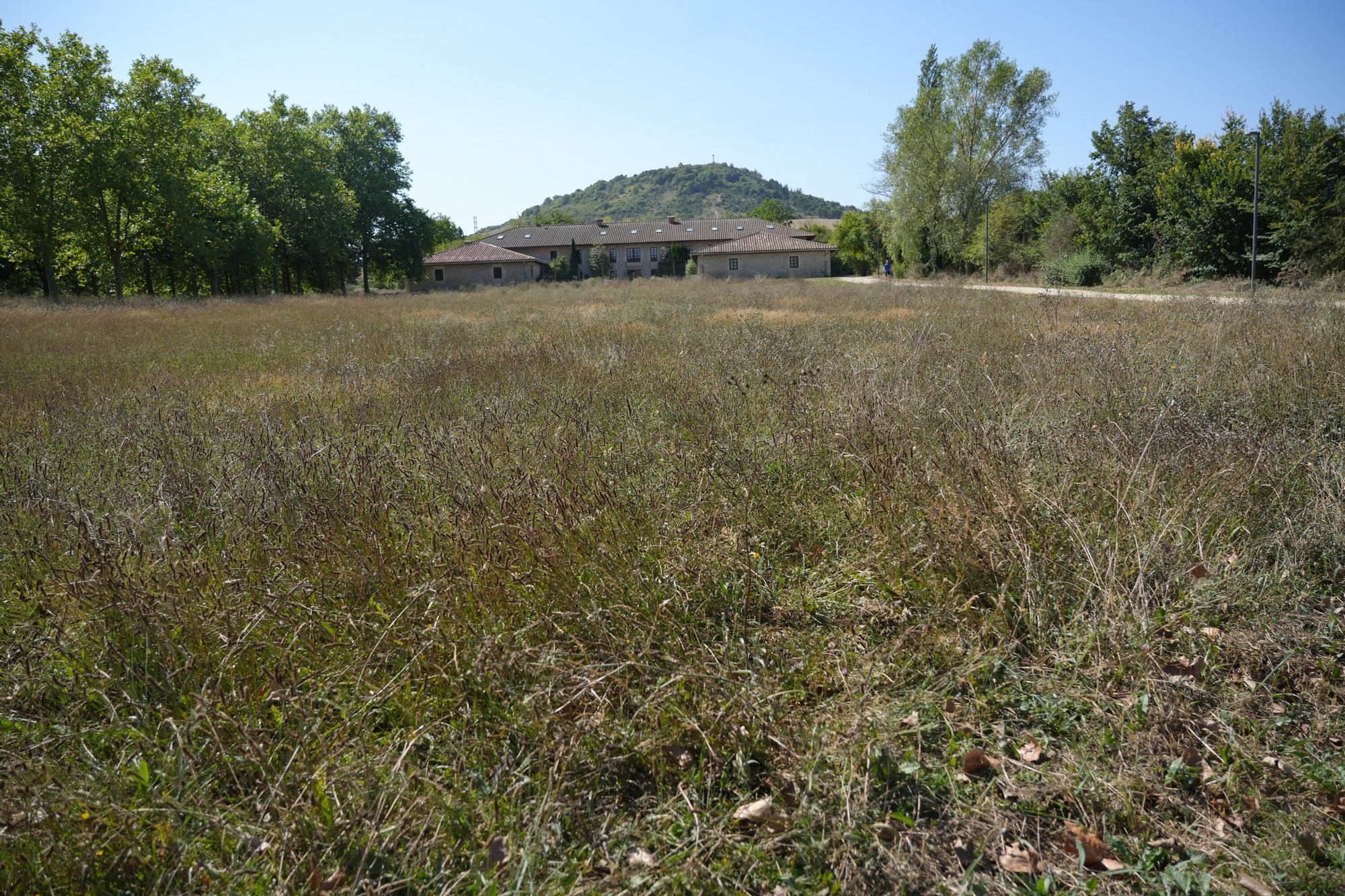Así luce la campa de Olarizu tras 5 meses de huelga de jardineros